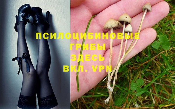 бутират Бугульма