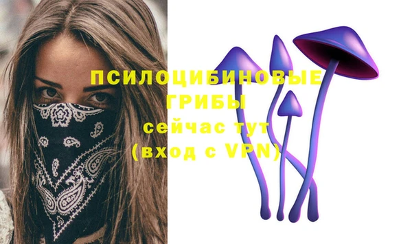 MESCALINE Кострома