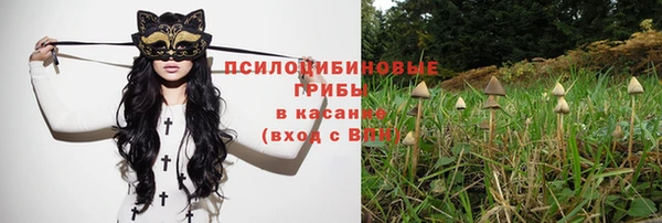 мескалин Бронницы