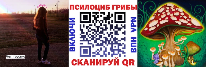 Псилоцибиновые грибы мицелий Кондопога